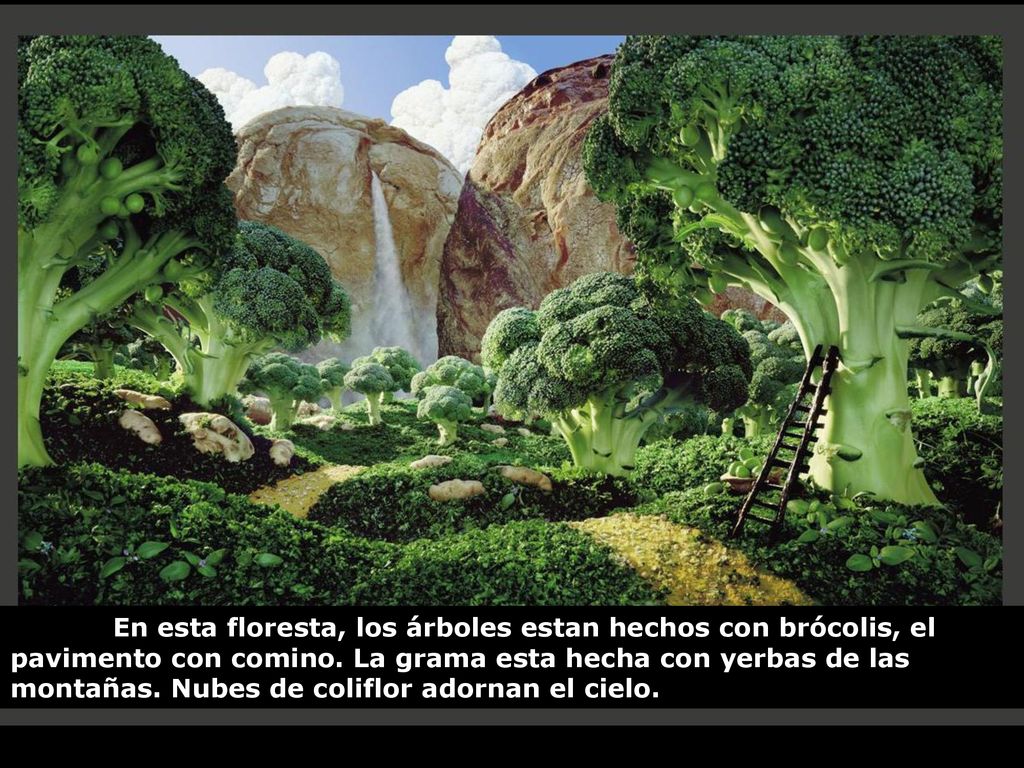 En esta floresta, los árboles estan hechos con brócolis, el pavimento con comino.