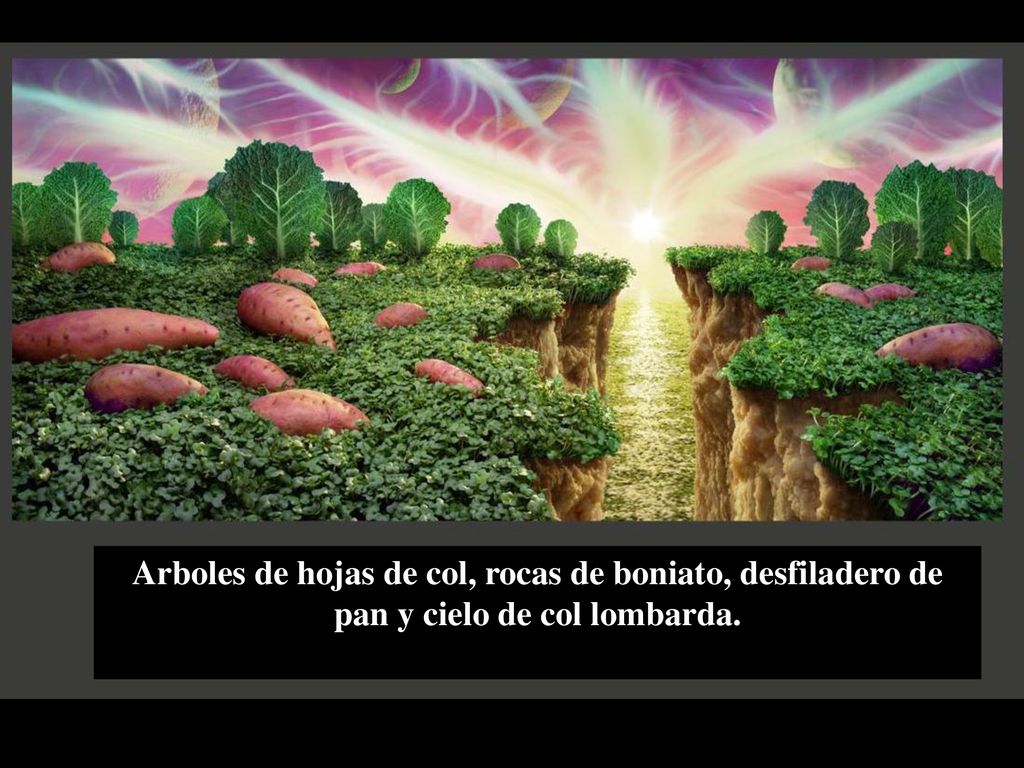 Arboles de hojas de col, rocas de boniato, desfiladero de pan y cielo de col lombarda.
