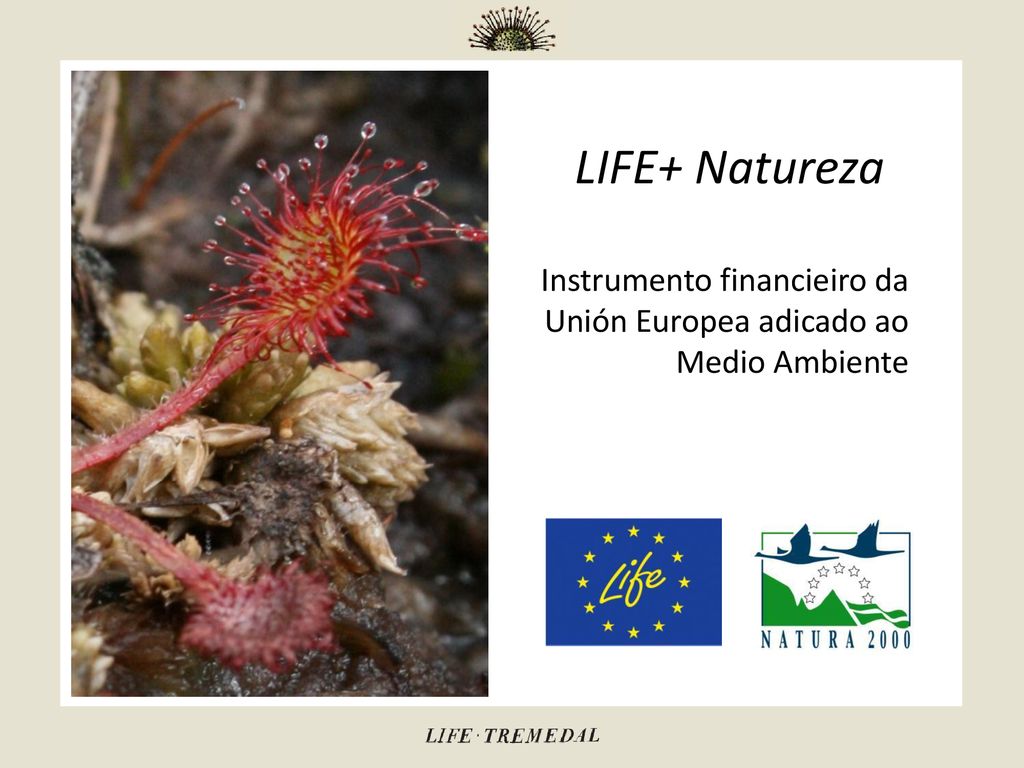 LIFE+ Natureza Instrumento financieiro da Unión Europea adicado ao Medio Ambiente Que es life