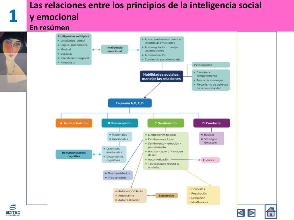 1 Las relaciones entre los principios de la inteligencia social y emocional En resúmen 15