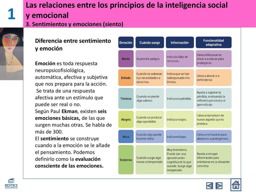 1 Las relaciones entre los principios de la inteligencia social y emocional 3. Sentimientos y emociones (siento)