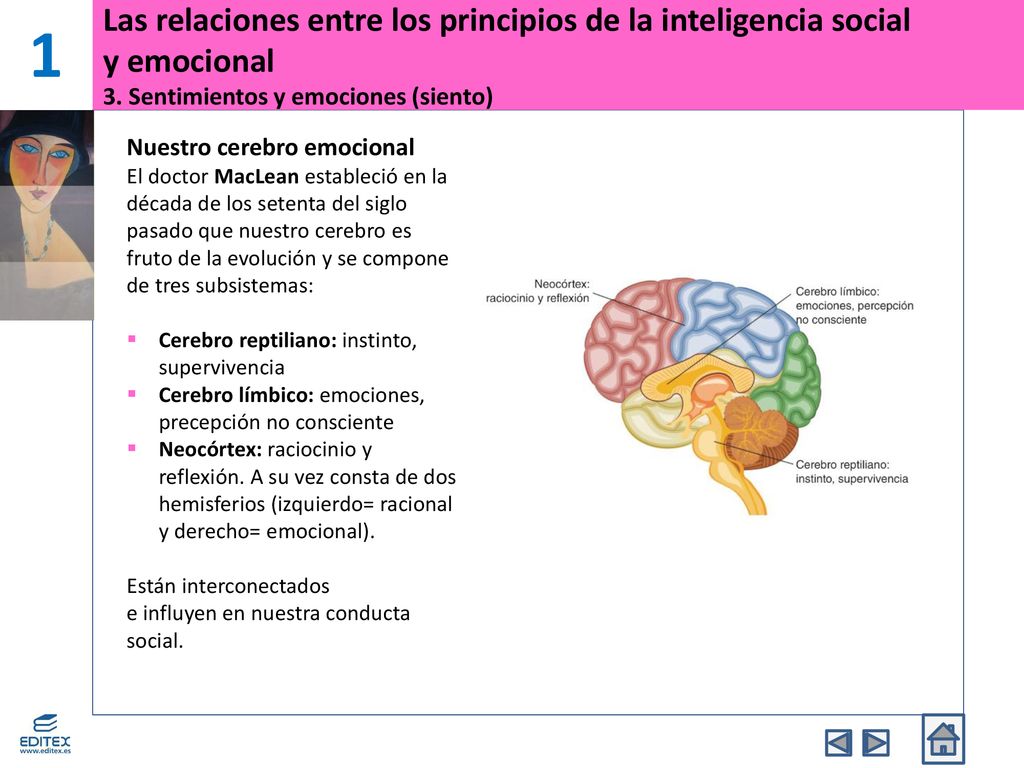 1 Las relaciones entre los principios de la inteligencia social y emocional 3. Sentimientos y emociones (siento)