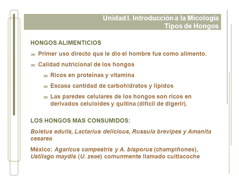 Unidad I. Introducción a la Micología Tipos de Hongos