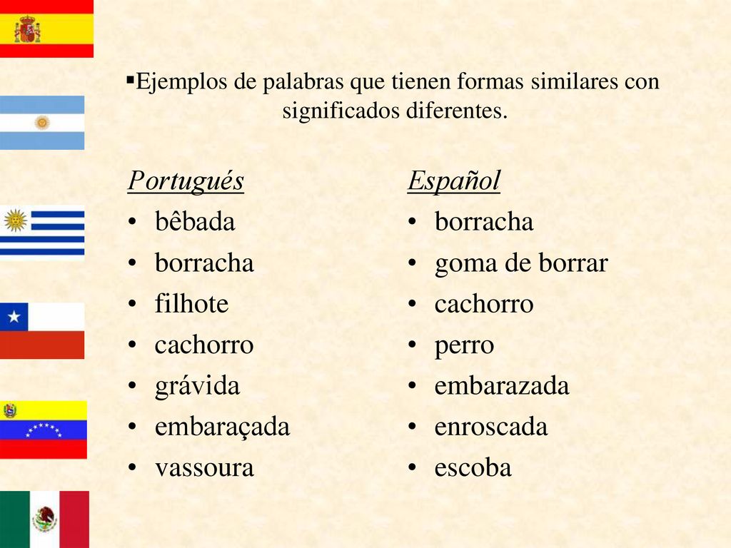 Portugués bêbada borracha filhote cachorro grávida embaraçada vassoura