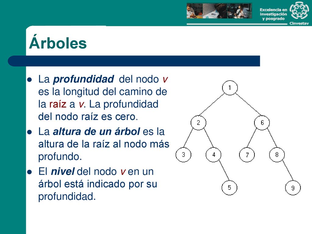 Árboles La profundidad del nodo v es la longitud del camino de la raíz a v. La profundidad del nodo raíz es cero.