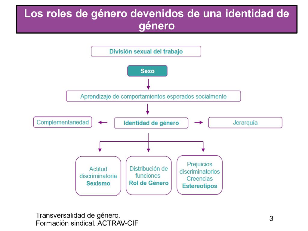 Los roles de género devenidos de una identidad de género