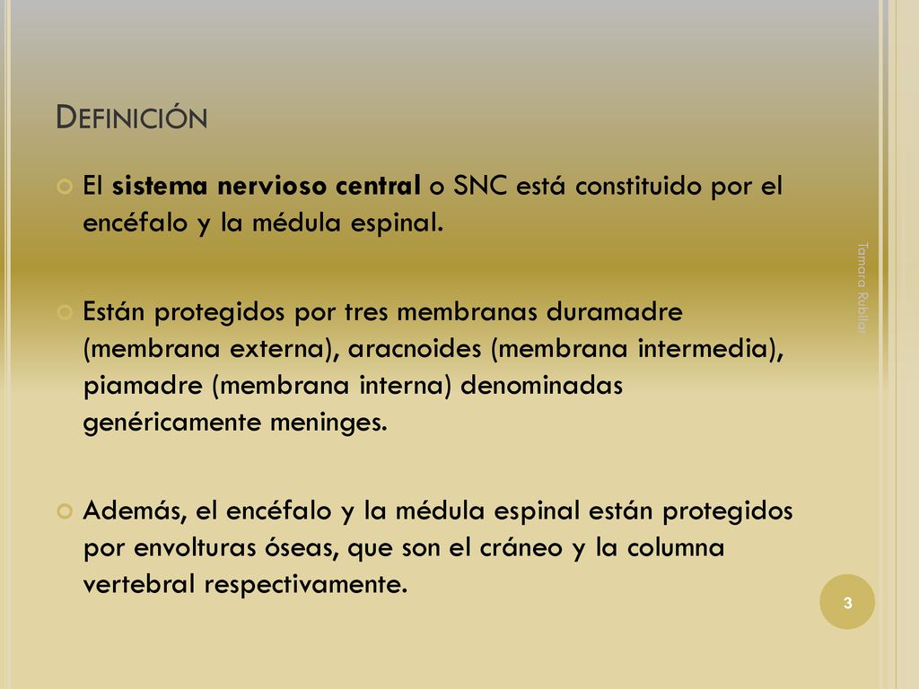 Definición El sistema nervioso central o SNC está constituido por el encéfalo y la médula espinal.
