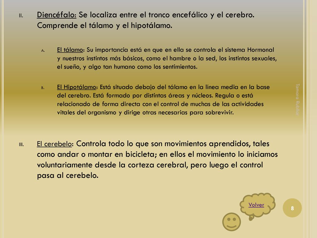 Diencéfalo: Se localiza entre el tronco encefálico y el cerebro