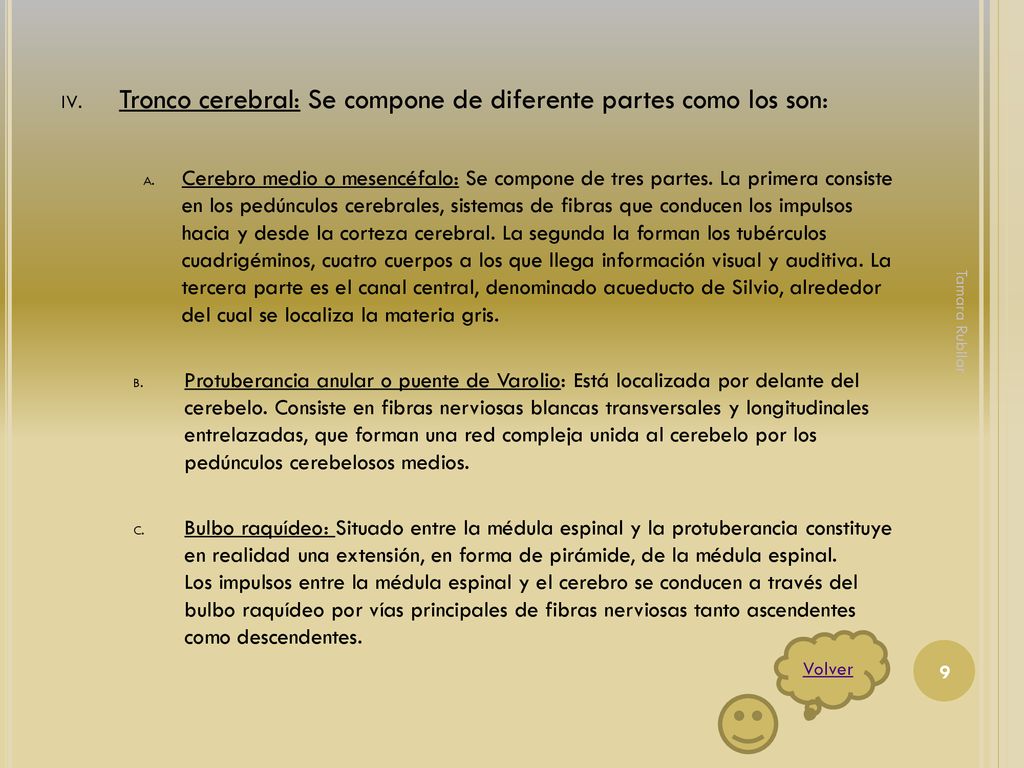 Tronco cerebral: Se compone de diferente partes como los son: