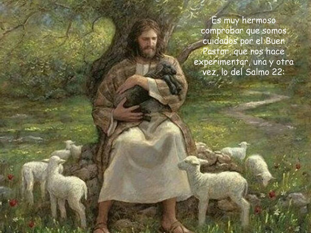 Es muy hermoso comprobar que somos cuidados por el Buen Pastor, que nos hace experimentar, una y otra vez, lo del Salmo 22: