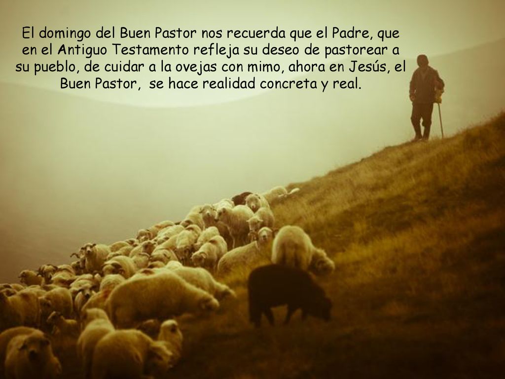 El domingo del Buen Pastor nos recuerda que el Padre, que en el Antiguo Testamento refleja su deseo de pastorear a su pueblo, de cuidar a la ovejas con mimo, ahora en Jesús, el Buen Pastor, se hace realidad concreta y real.