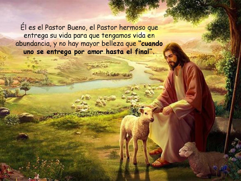 Él es el Pastor Bueno, el Pastor hermoso que entrega su vida para que tengamos vida en abundancia, y no hay mayor belleza que cuando uno se entrega por amor hasta el final .