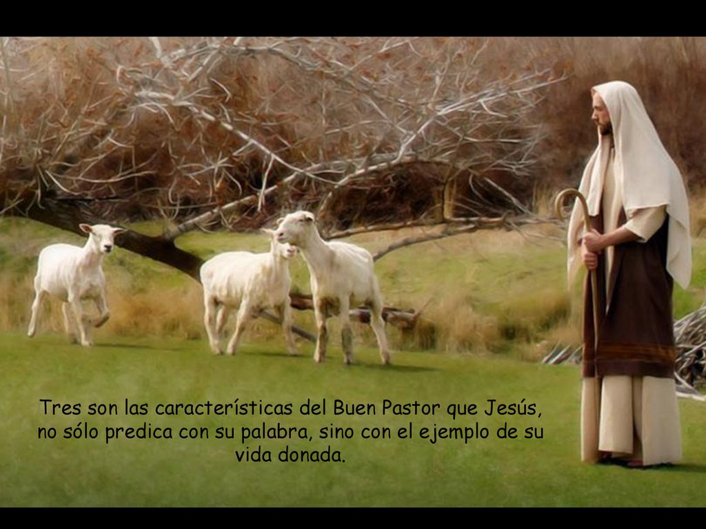 Tres son las características del Buen Pastor que Jesús, no sólo predica con su palabra, sino con el ejemplo de su vida donada.