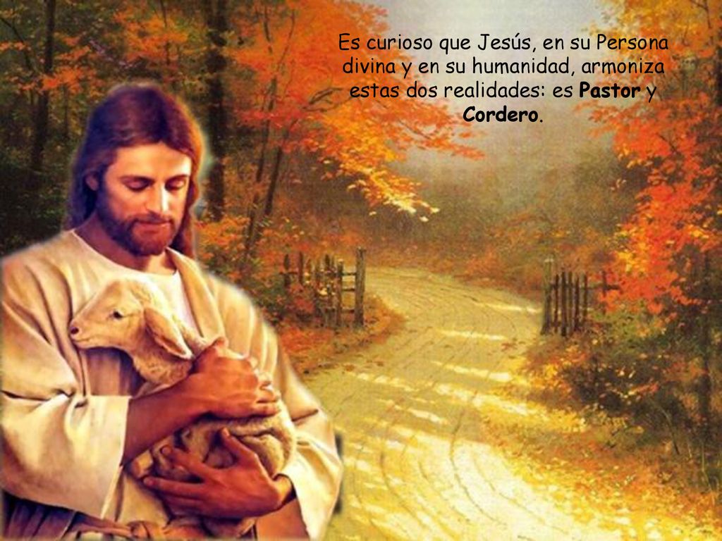 Es curioso que Jesús, en su Persona divina y en su humanidad, armoniza estas dos realidades: es Pastor y Cordero.