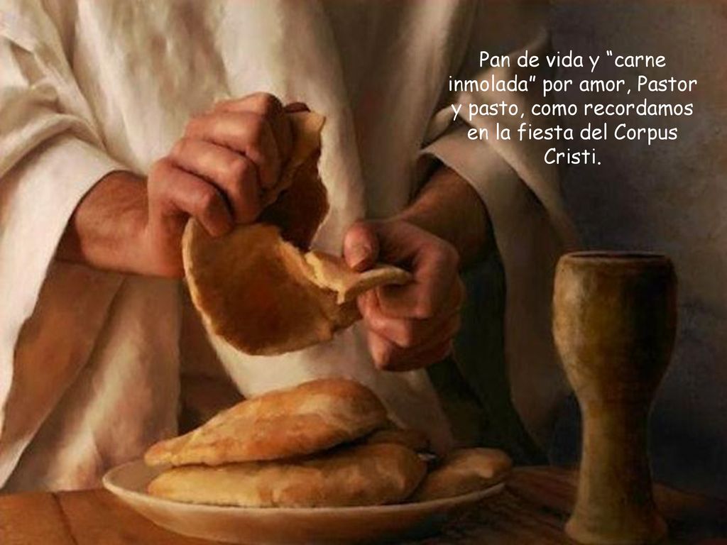 Pan de vida y carne inmolada por amor, Pastor y pasto, como recordamos en la fiesta del Corpus Cristi.