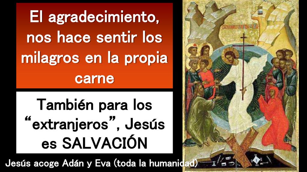 El agradecimiento, nos hace sentir los milagros en la propia carne