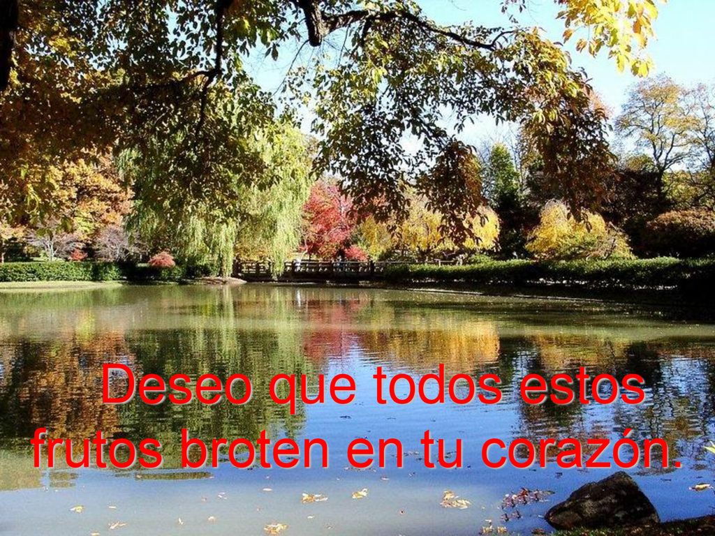 Deseo que todos estos frutos broten en tu corazón.