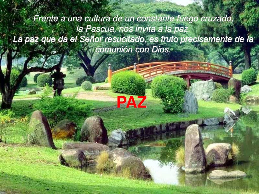 Frente a una cultura de un constante fuego cruzado, la Pascua, nos invita a la paz. La paz que da el Señor resucitado, es fruto precisamente de la comunión con Dios.
