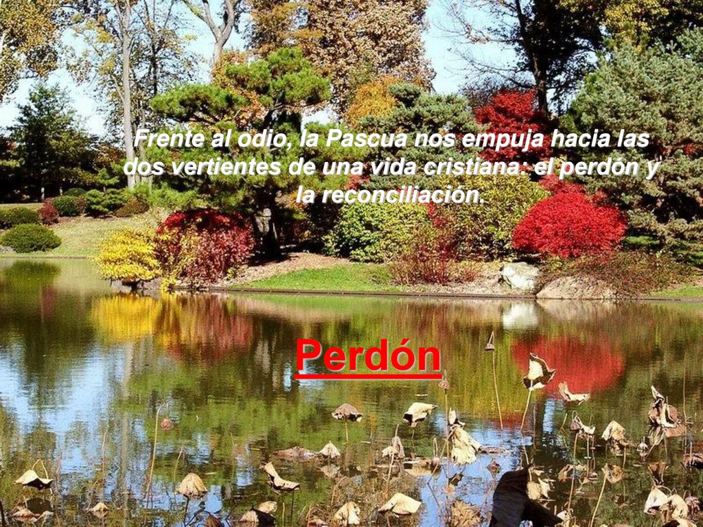 Frente al odio, la Pascua nos empuja hacia las dos vertientes de una vida cristiana: el perdón y la reconciliación.