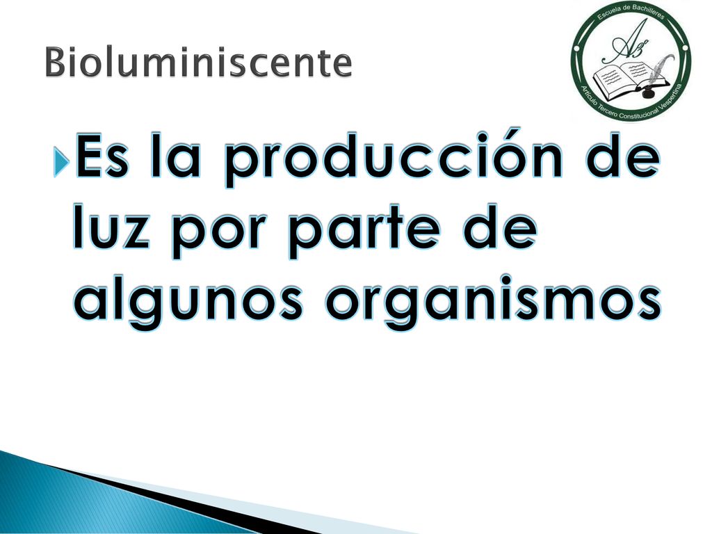Es la producción de luz por parte de algunos organismos