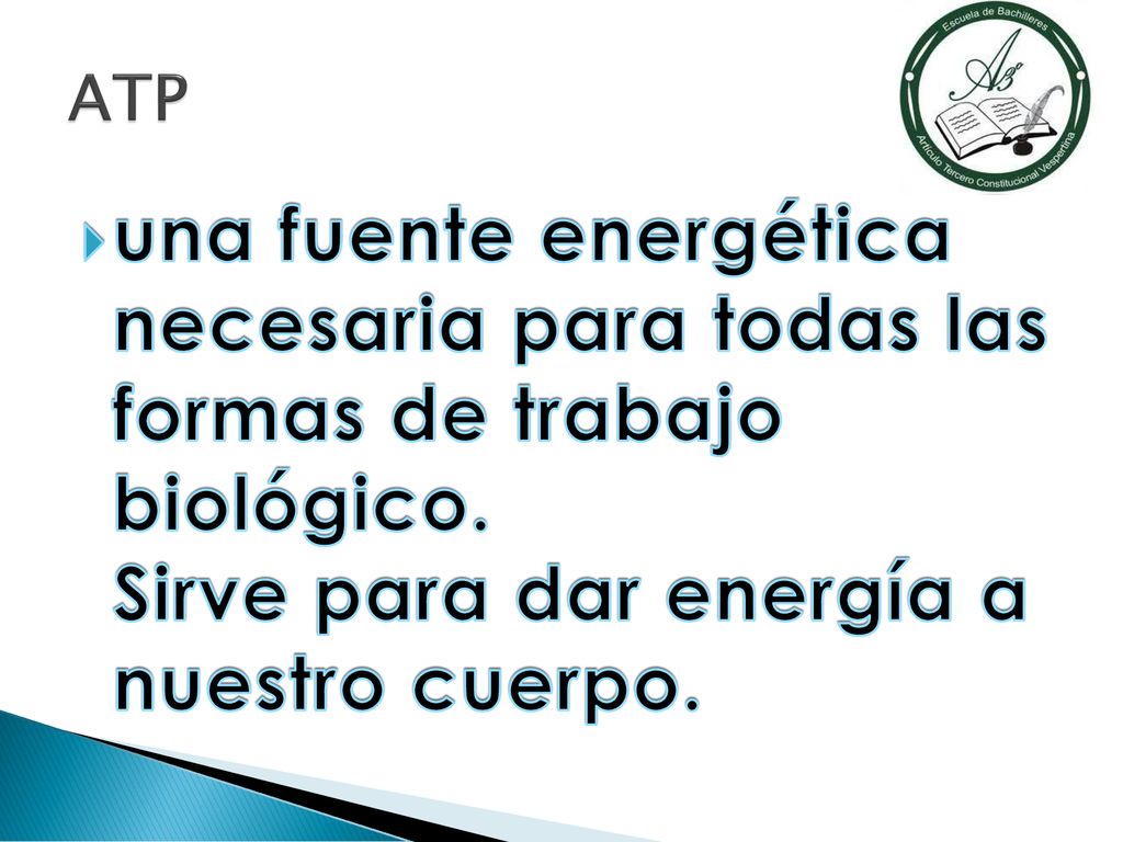 ATP una fuente energética necesaria para todas las formas de trabajo biológico.