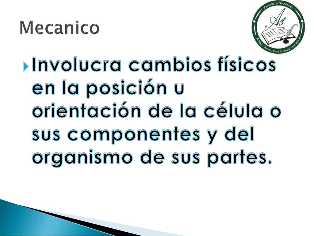 Mecanico Involucra cambios físicos en la posición u orientación de la célula o sus componentes y del organismo de sus partes.