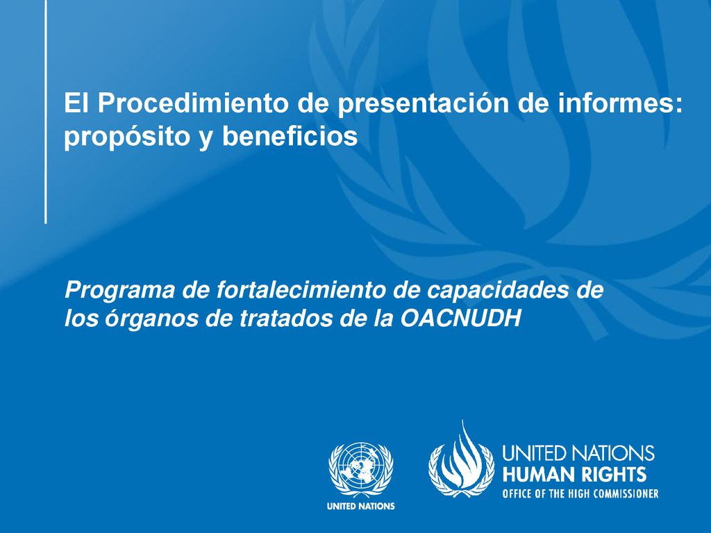 El Procedimiento de presentación de informes: propósito y beneficios