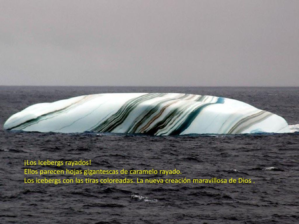 ¡Los Icebergs rayados! Ellos parecen hojas gigantescas de caramelo rayado.