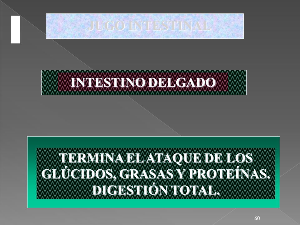 JUGO INTESTINAL INTESTINO DELGADO. TERMINA EL ATAQUE DE LOS GLÚCIDOS, GRASAS Y PROTEÍNAS.