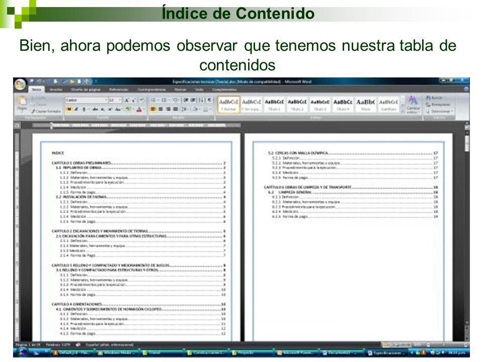 Bien, ahora podemos observar que tenemos nuestra tabla de contenidos