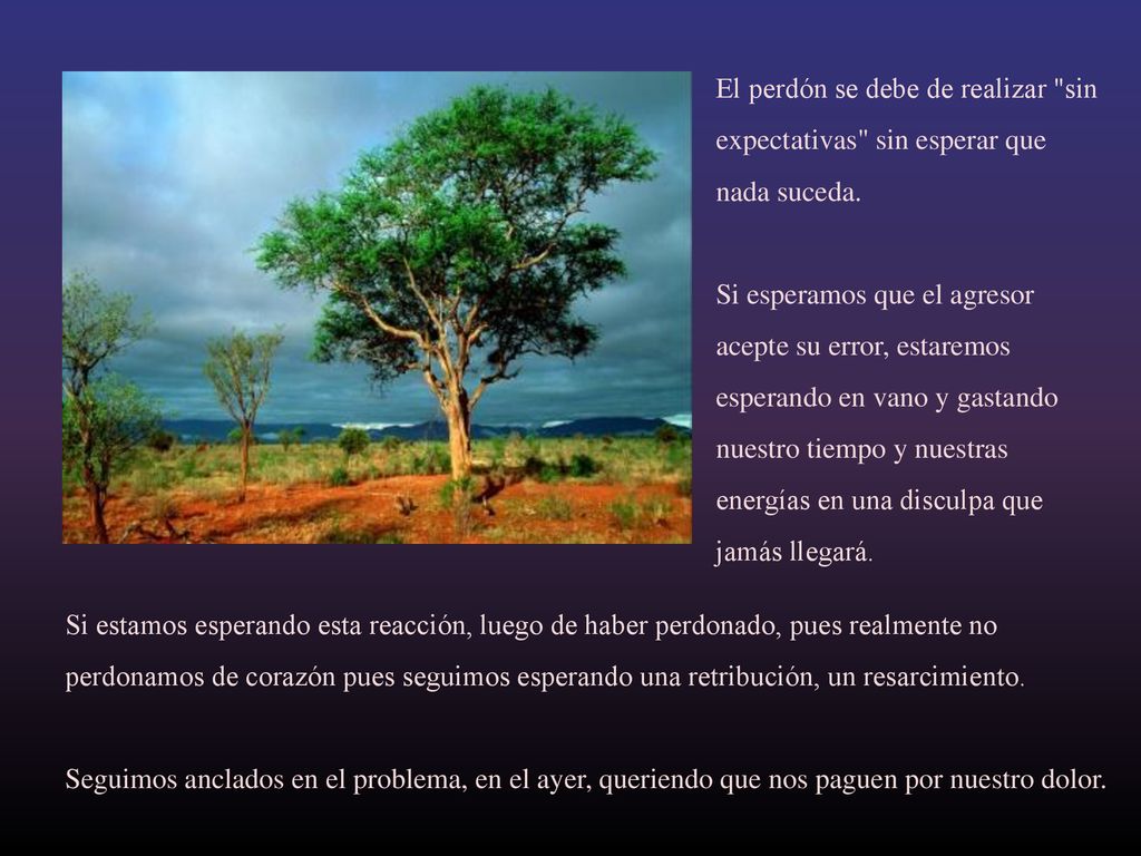 El perdón se debe de realizar sin expectativas sin esperar que nada suceda. Si esperamos que el agresor acepte su error, estaremos esperando en vano y gastando nuestro tiempo y nuestras energías en una disculpa que jamás llegará.