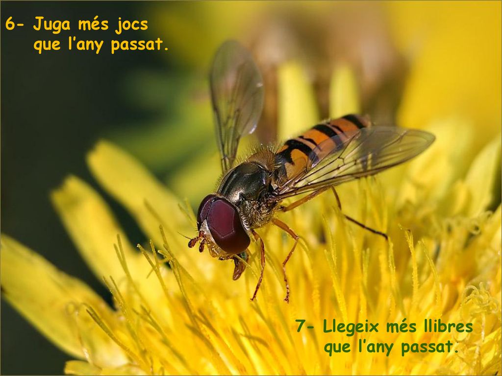 6- Juga més jocs que l’any passat. 7- Llegeix més llibres que l’any passat.