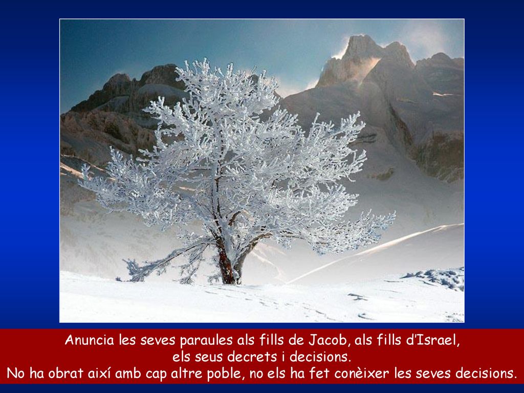 Anuncia les seves paraules als fills de Jacob, als fills d’Israel,