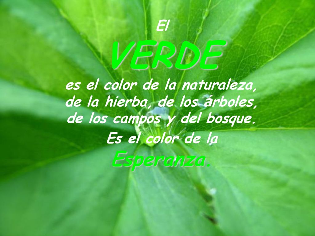 El VERDE. es el color de la naturaleza, de la hierba, de los árboles, de los campos y del bosque.