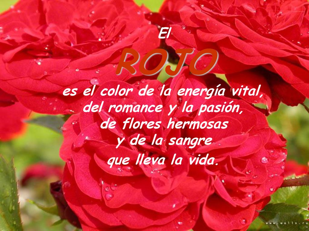 El ROJO. es el color de la energía vital, del romance y la pasión, de flores hermosas y de la sangre.