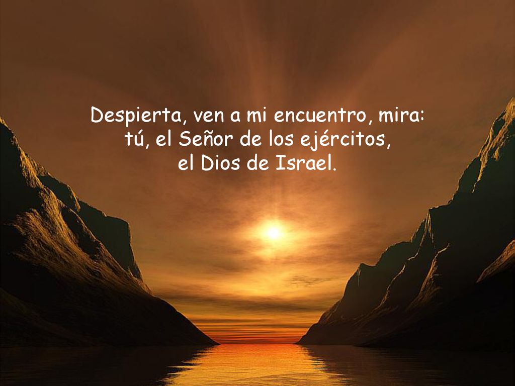 Despierta, ven a mi encuentro, mira: tú, el Señor de los ejércitos,
