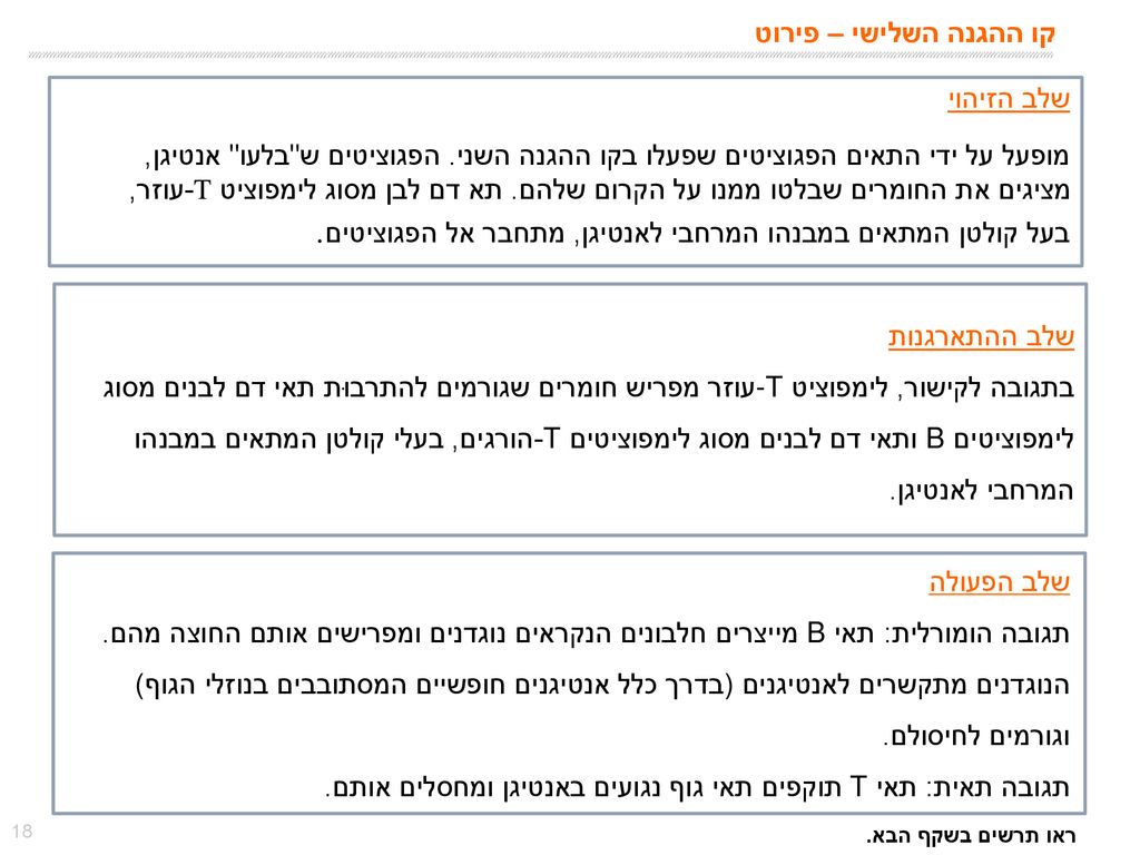 תגובה תאית: תאי T תוקפים תאי גוף נגועים באנטיגן ומחסלים אותם.