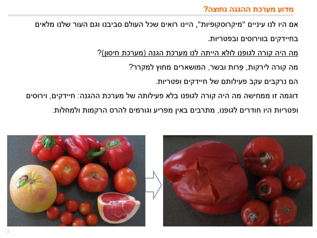 מדוע מערכת ההגנה נחוצה אם היו לנו עיניים מיקרוסקופיות , היינו רואים שכל העולם סביבנו וגם העור שלנו מלאים בחיידקים בווירוסים ובפטריות.