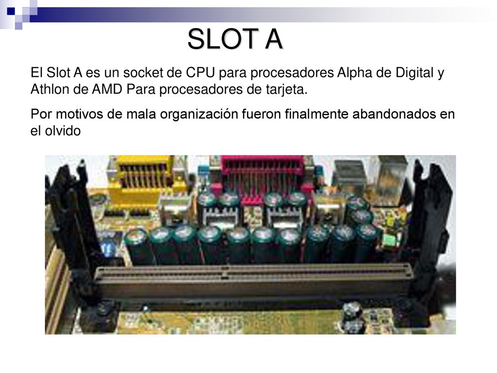 SLOT A El Slot A es un socket de CPU para procesadores Alpha de Digital y Athlon de AMD Para procesadores de tarjeta.