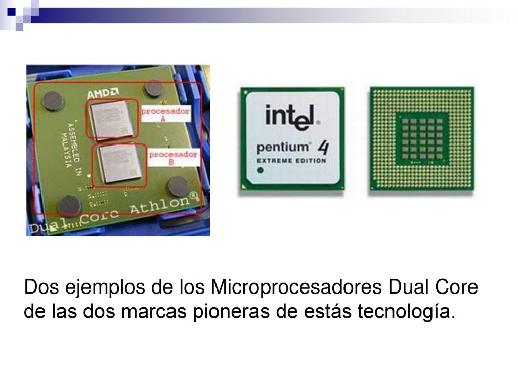 Dos ejemplos de los Microprocesadores Dual Core de las dos marcas pioneras de estás tecnología.