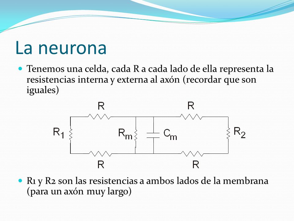 La neurona Tenemos una celda, cada R a cada lado de ella representa la resistencias interna y externa al axón (recordar que son iguales)