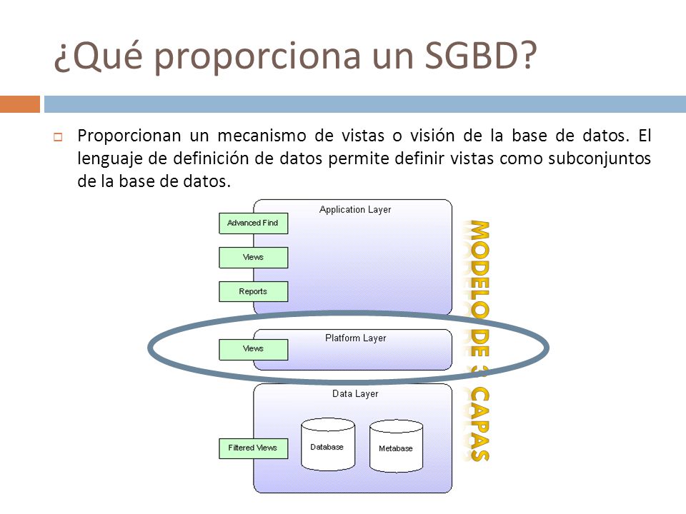 ¿Qué proporciona un SGBD