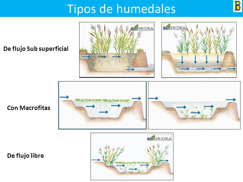 Tipos de humedales De flujo Sub superficial Con Macrofitas