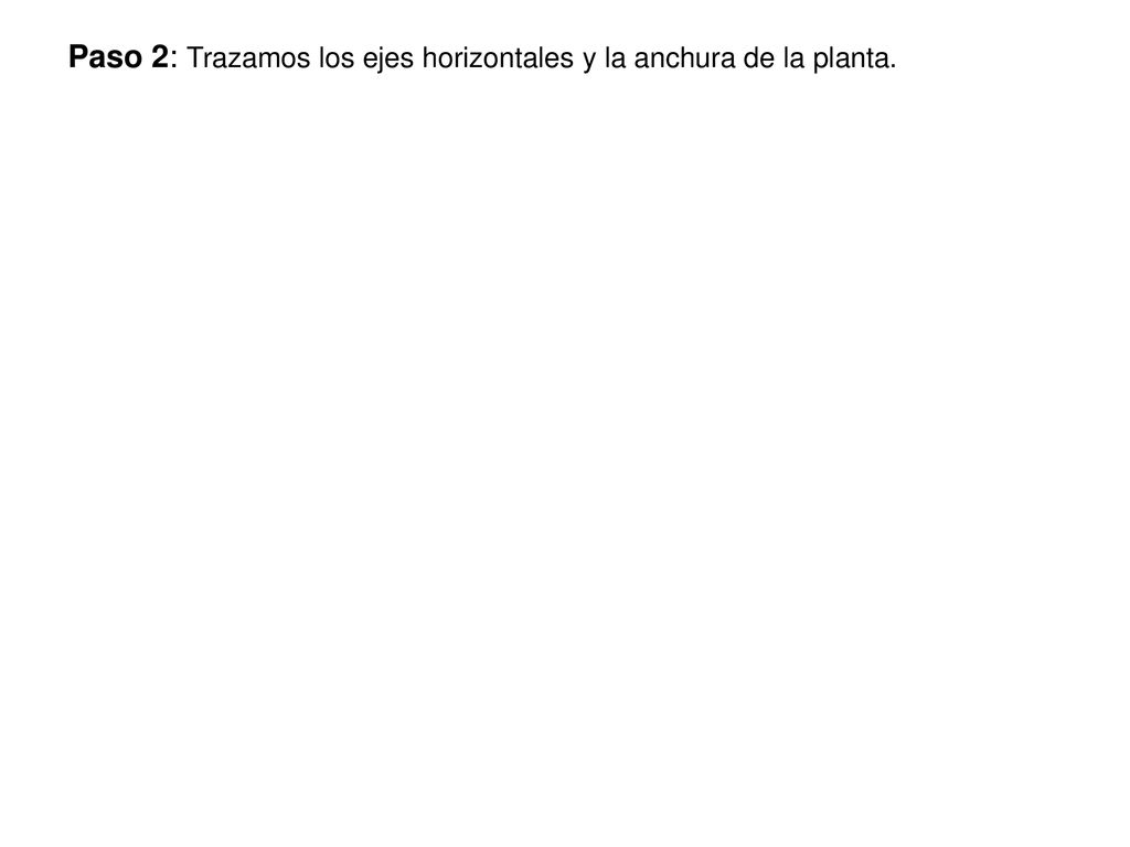 Paso 2: Trazamos los ejes horizontales y la anchura de la planta.