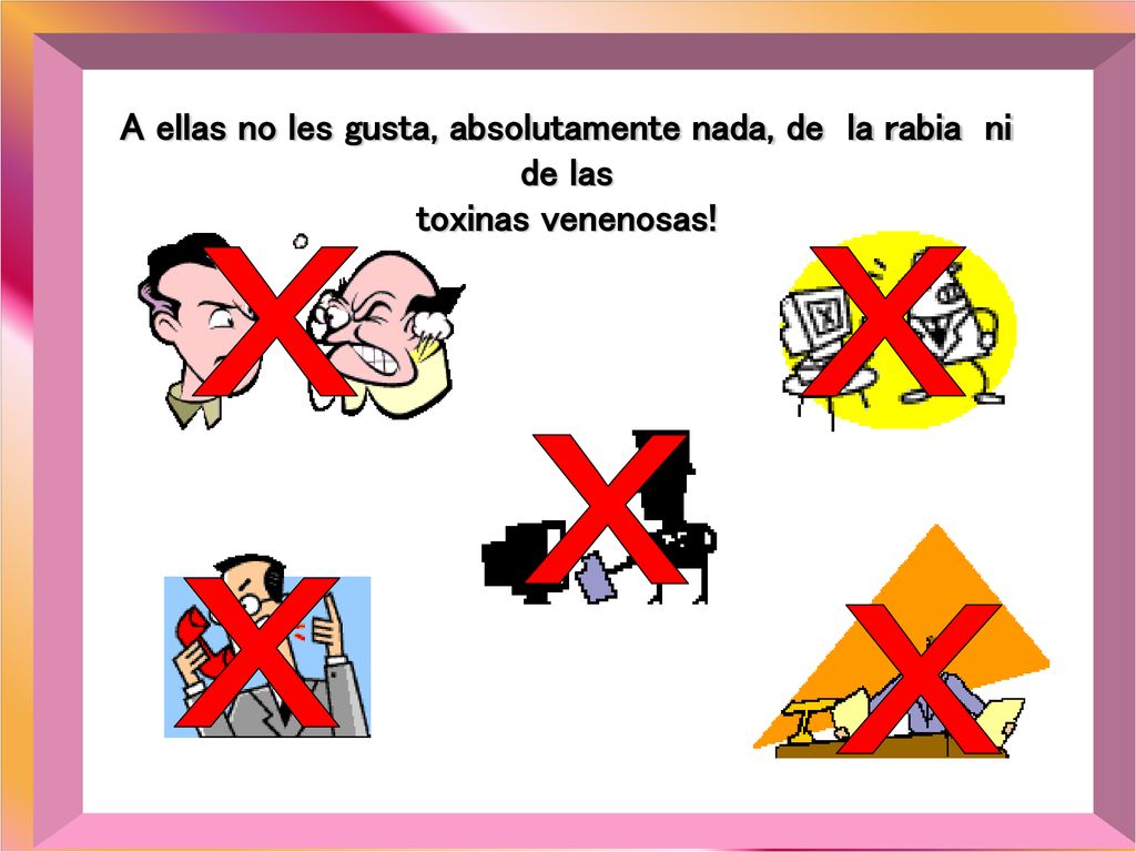 A ellas no les gusta, absolutamente nada, de la rabia ni de las