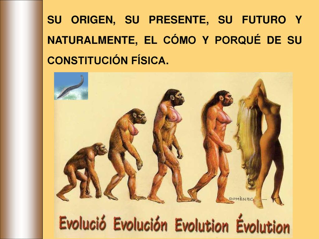 SU ORIGEN, SU PRESENTE, SU FUTURO Y NATURALMENTE, EL CÓMO Y PORQUÉ DE SU CONSTITUCIÓN FÍSICA.