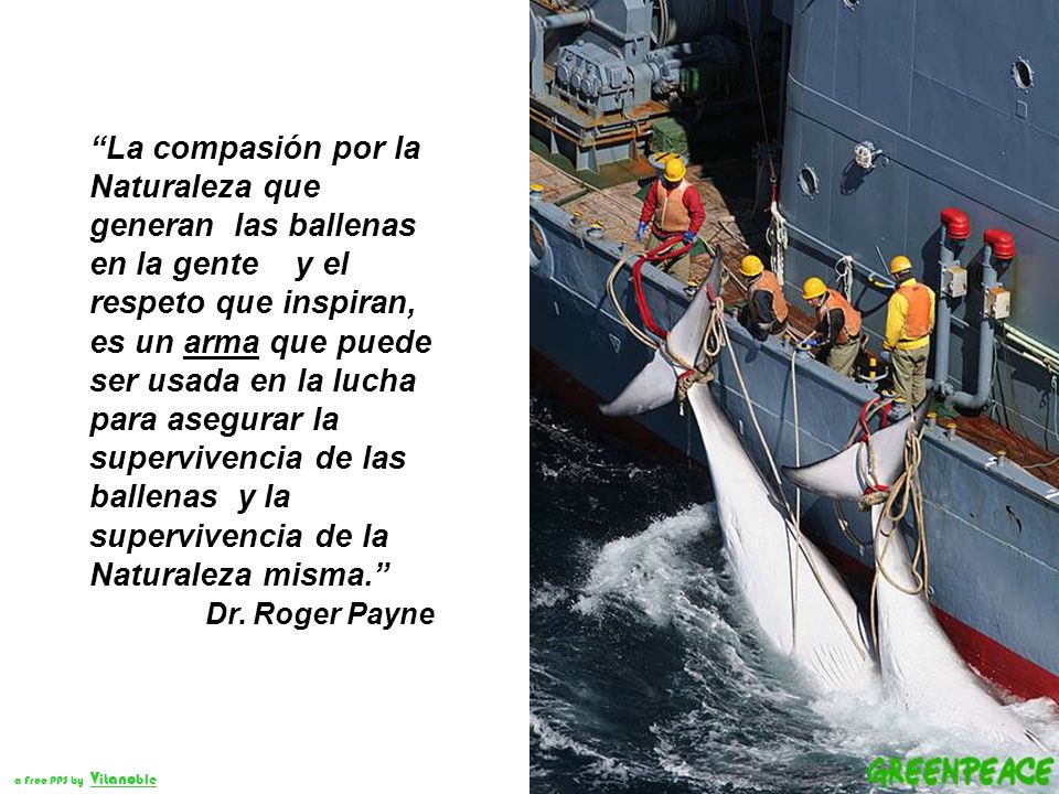 La compasión por la Naturaleza que generan las ballenas en la gente y el respeto que inspiran, es un arma que puede ser usada en la lucha para asegurar la supervivencia de las ballenas y la supervivencia de la Naturaleza misma.