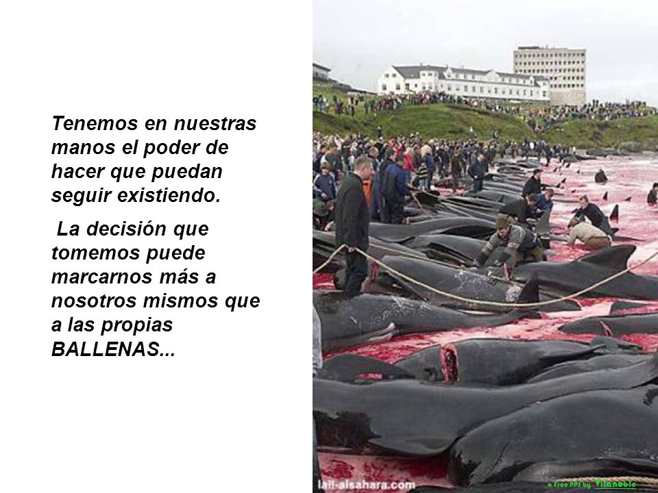 Tenemos en nuestras manos el poder de hacer que puedan seguir existiendo.