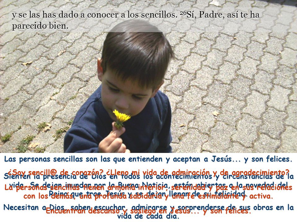 Encuentran descanso y sosiego en Jesús... y son felices.