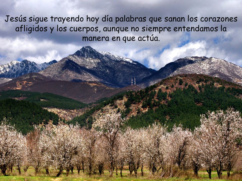 Jesús sigue trayendo hoy día palabras que sanan los corazones afligidos y los cuerpos, aunque no siempre entendamos la manera en que actúa.